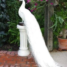 Cross stitch pattern: #301310