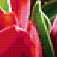 Preview of cross stitch pattern: #301788