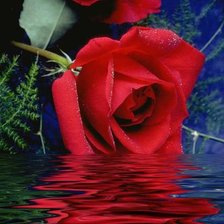 Cross stitch pattern: #301792