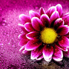 Cross stitch pattern: #301804