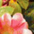 Preview of cross stitch pattern: #301884