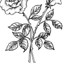 Cross stitch pattern: #301905