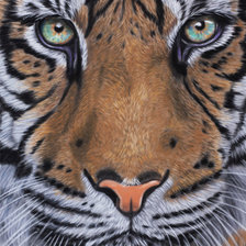 Cross stitch pattern: #302270