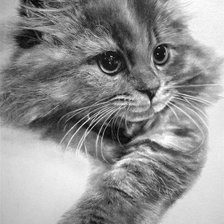 Cross stitch pattern: #302381