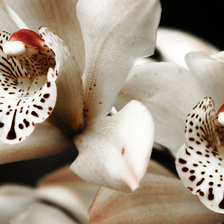 Cross stitch pattern: #302598