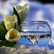 Cross stitch pattern: #302618