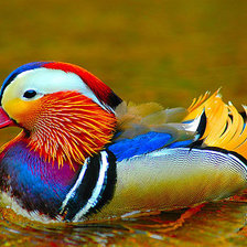 Cross stitch pattern: #303059