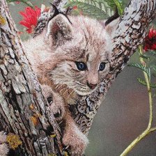 Cross stitch pattern: #303164