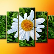 Cross stitch pattern: #303167