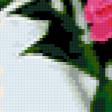 Preview of cross stitch pattern: #303378