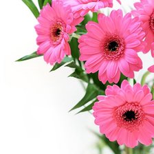 Cross stitch pattern: #303378