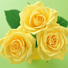 Cross stitch pattern: #303531