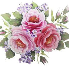 Cross stitch pattern: #303622
