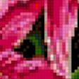 Preview of cross stitch pattern: #303703