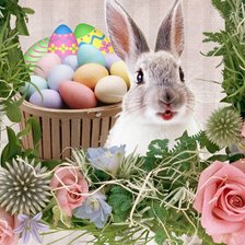 Cross stitch pattern: #303715