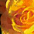 Preview of cross stitch pattern: #303920