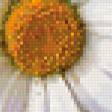 Preview of cross stitch pattern: #303921