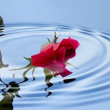Cross stitch pattern: #303923
