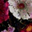 Preview of cross stitch pattern: #303924