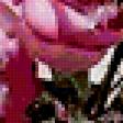 Preview of cross stitch pattern: #303926