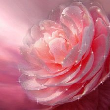 Cross stitch pattern: #303927