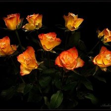 Cross stitch pattern: #303932