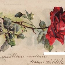 Cross stitch pattern: #303994