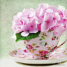 Cross stitch pattern: #304344