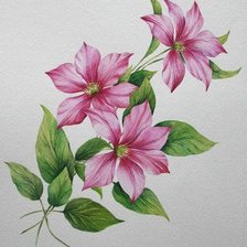 Cross stitch pattern: #304595