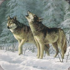 Cross stitch pattern: #304673