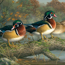 Cross stitch pattern: #304679