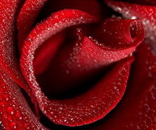 Cross stitch pattern: #304980