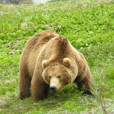 Cross stitch pattern: #304990