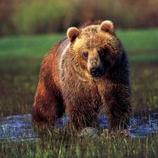 Cross stitch pattern: #304999