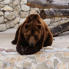 Cross stitch pattern: #305002