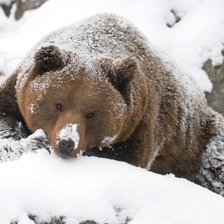 Cross stitch pattern: #305014