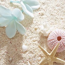 Cross stitch pattern: #305094