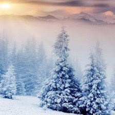 Cross stitch pattern: #305112
