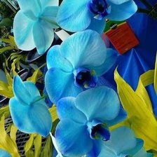 Cross stitch pattern: #305120