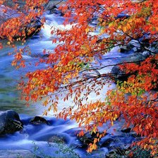 Cross stitch pattern: #305153