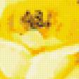 Preview of cross stitch pattern: #305577