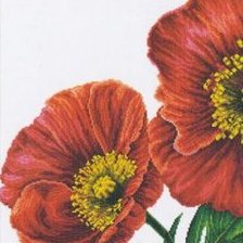 Cross stitch pattern: #305598