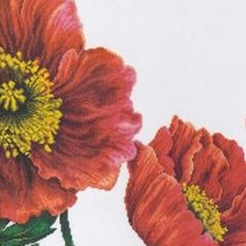 Cross stitch pattern: #305603