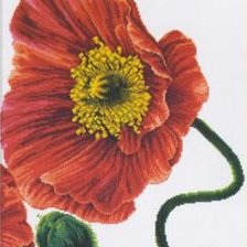 Cross stitch pattern: #305604