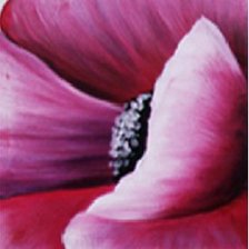 Cross stitch pattern: #305675