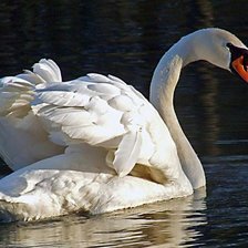 Cross stitch pattern: #305809