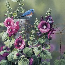 Cross stitch pattern: #305814