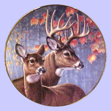 Cross stitch pattern: #306000