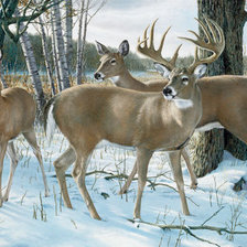 Cross stitch pattern: #306001