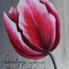 Cross stitch pattern: #306727